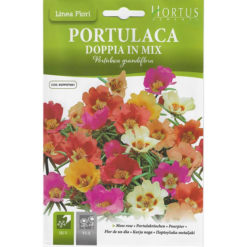 Moss Rose Seeds Mix "Portulaca Doppia In Mix" Premium Quality Seeds by Hortus - Greensouq -
