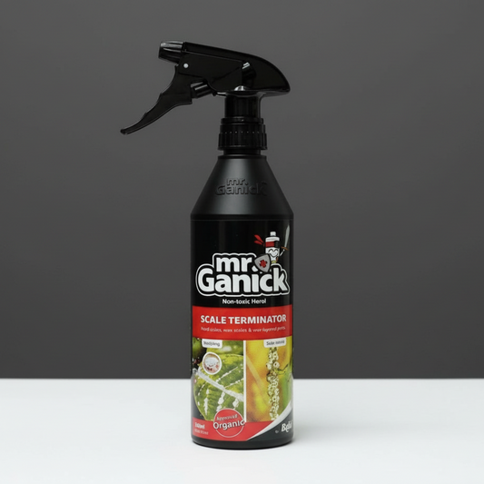 Organic Spray | Mr. Ganick Organic "Mealybug and Scale Terminator Spray" 500ml - Greensouq -