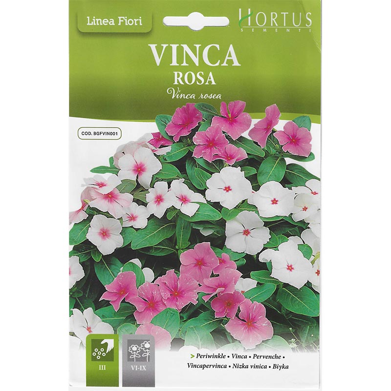 Periwinkle Seeds Mix "Vinca Rosa" Premium Quality Seeds by Hortus - Greensouq -