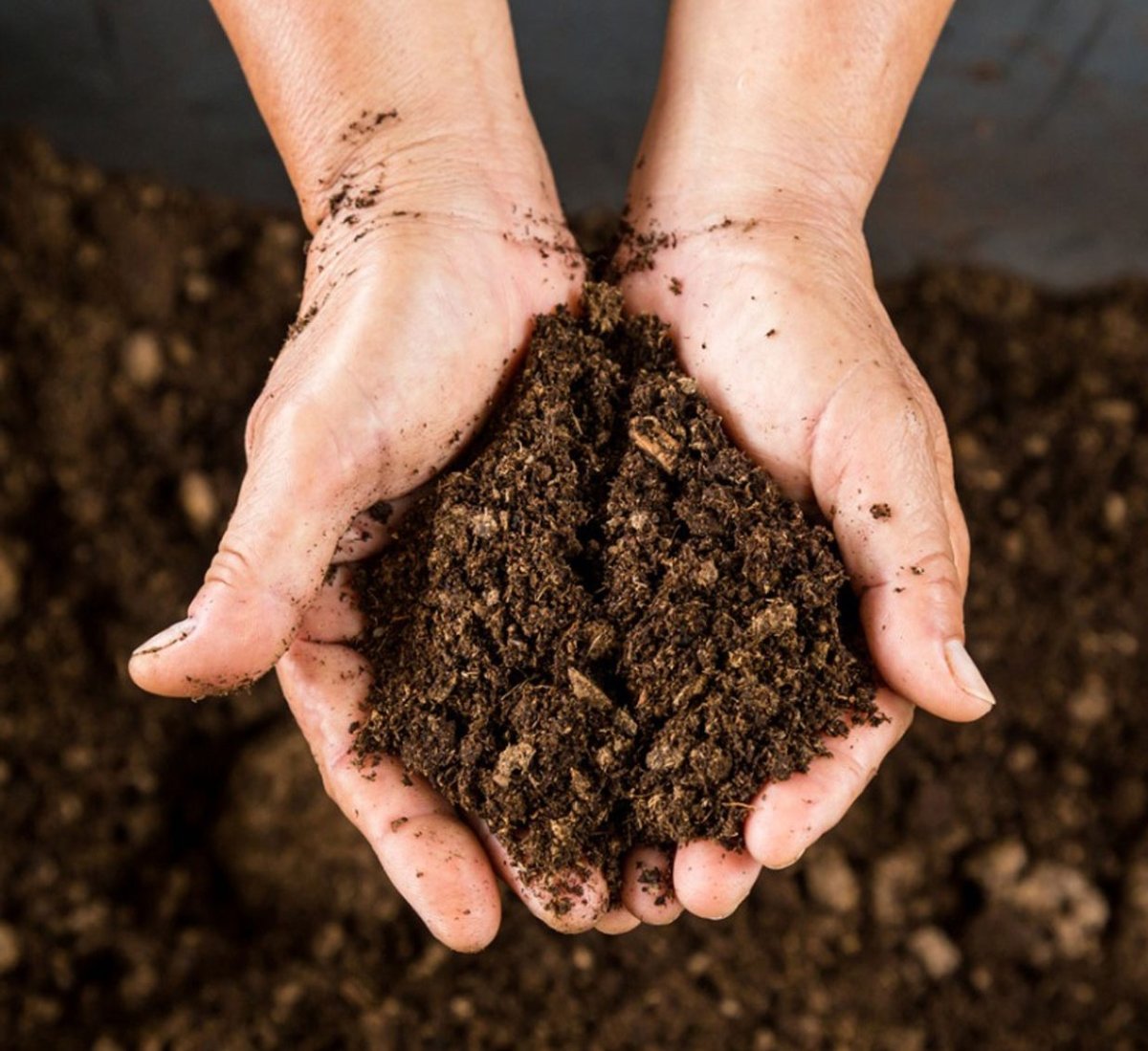 PLANTATORF Peat Moss Substrate 340L - Greensouq - 