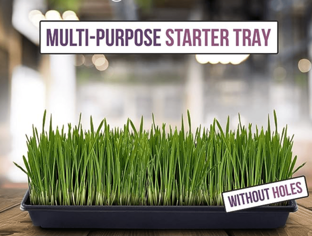 Plastic Seed Starter Tray "Plant Propagation Tray" - Greensouq - 