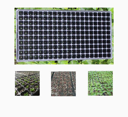 Plastic Seeds Tray - Greensouq - 