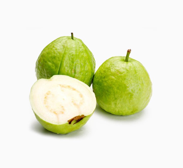 Apple Guava Tree Psidium Guajava - Greensouq -