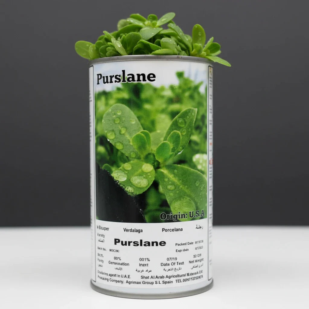 Purslane Seeds Tin - Greensouq - 