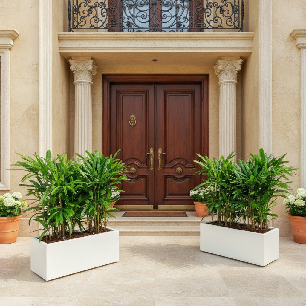 Lady Palm in Fiber Glass Pot - Elegant and Easy to Care for - Greensouq -