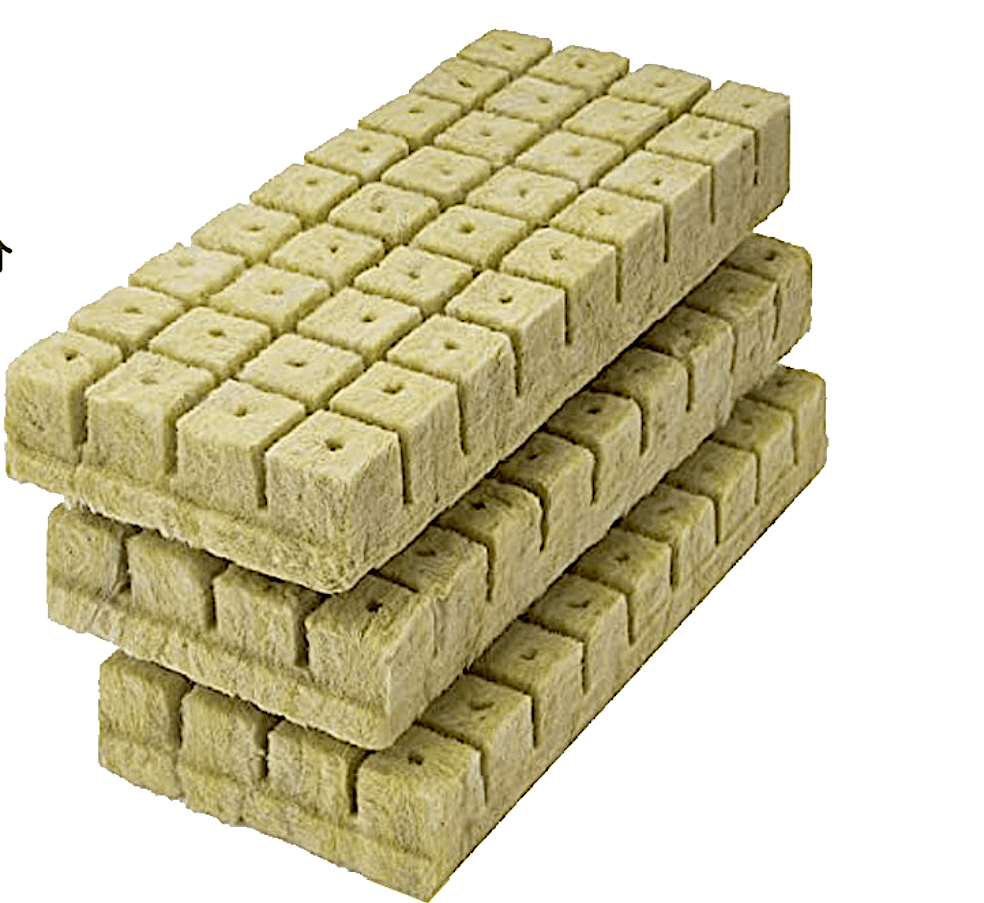 Hydro Rock Cubes | Rock Wool Cubes "Hydroponic Growing Medium" - Greensouq -