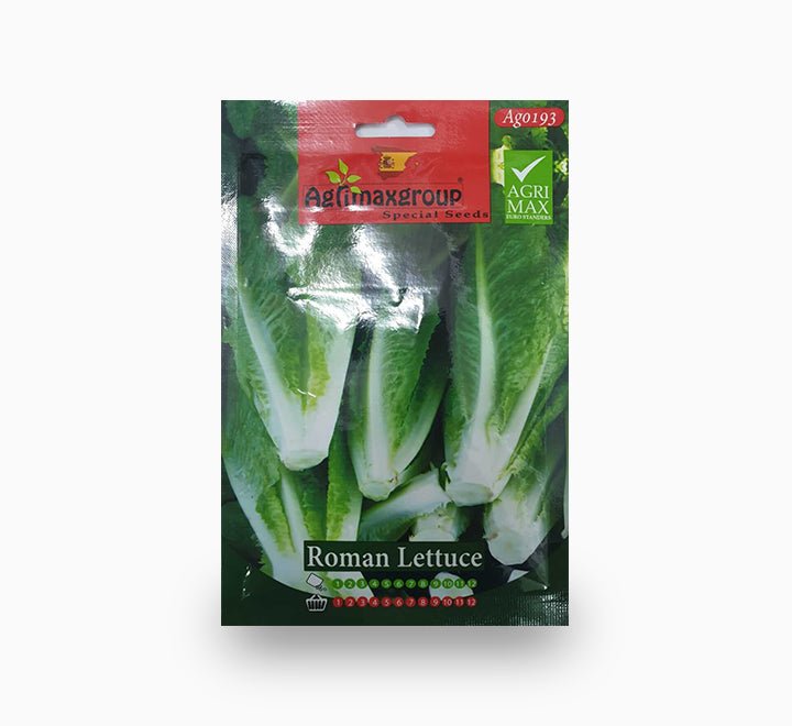 Agrimax Roman Lettuce Seeds - Greensouq -