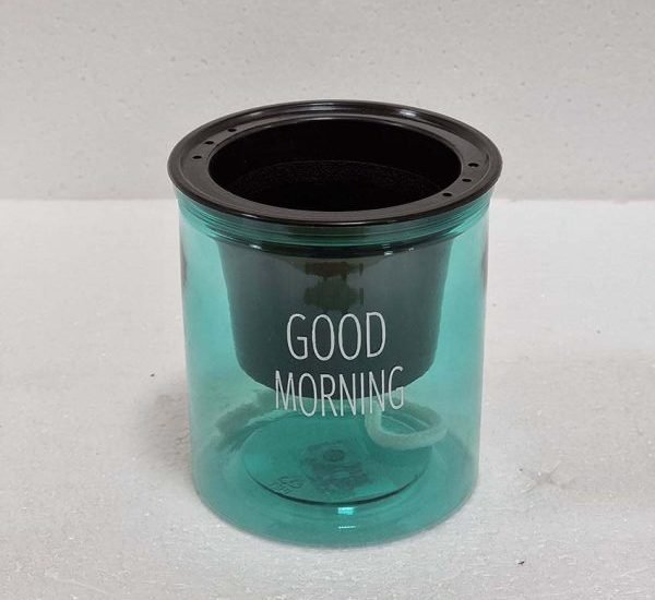 Self Watering Indoor Transparent Pot - Greensouq - 