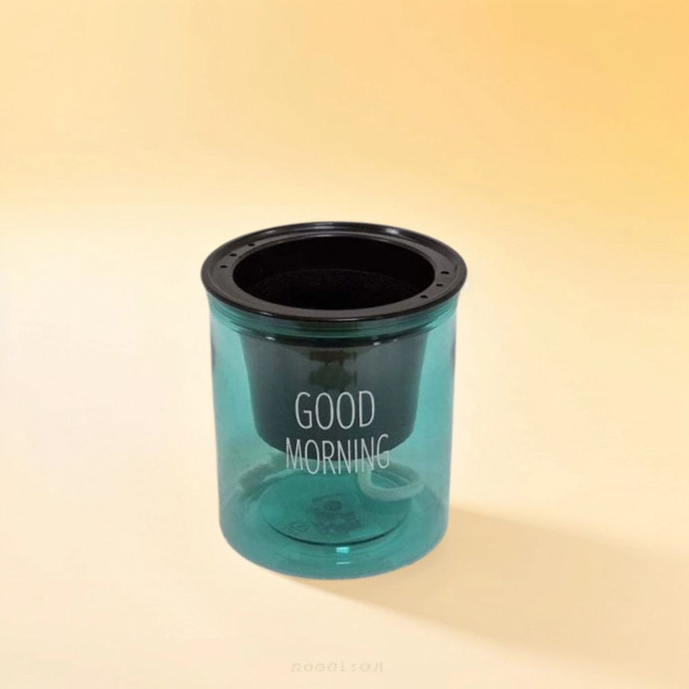 Self Watering Indoor Transparent Pot - Greensouq - 