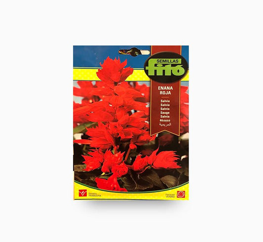 Semilla Frito Enana Roja Salvia Seeds (2 g) - Greensouq - 