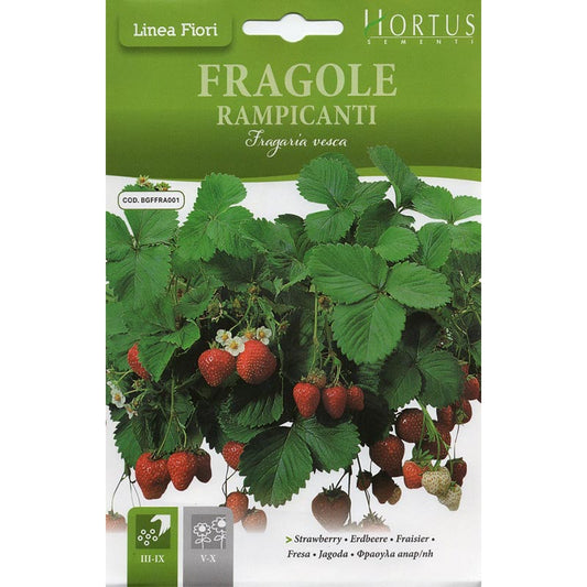 Strawberry Seeds "Fragole Rampicanti" Seeds by Hortus - Greensouq -
