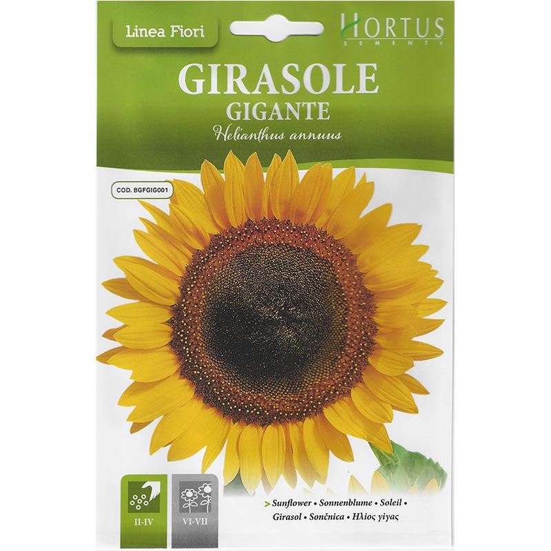 Large Sunflower Seeds "Girasole Gigante" Premium Quality Seeds by Hortus - Greensouq -