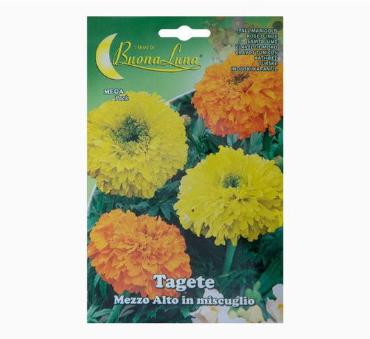 Tagete Mezzo Alto Mix Seeds - Greensouq - 