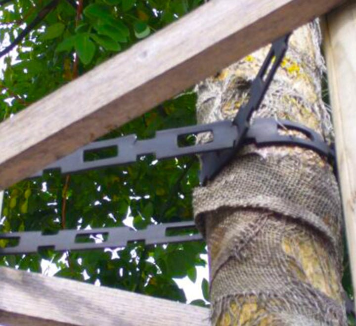 Tree Support Plastic Chain Lock | Treemaster Chainlock - Greensouq - 