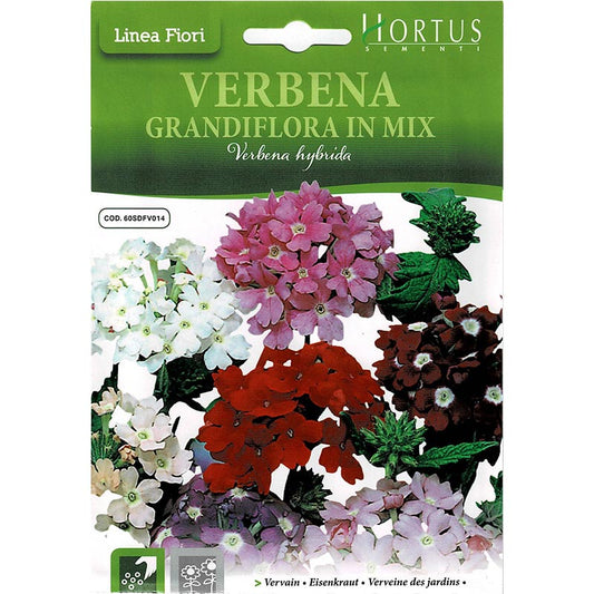 Vervain Seeds Mix "Verbena Grandiflora In Mix" Premium Quality Seeds by Hortus - Greensouq -