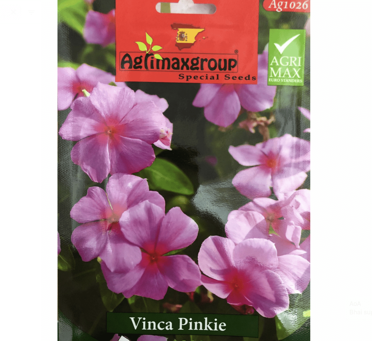 Vinca Pinkie Flower Seeds by Agrimax Spain - Greensouq - 