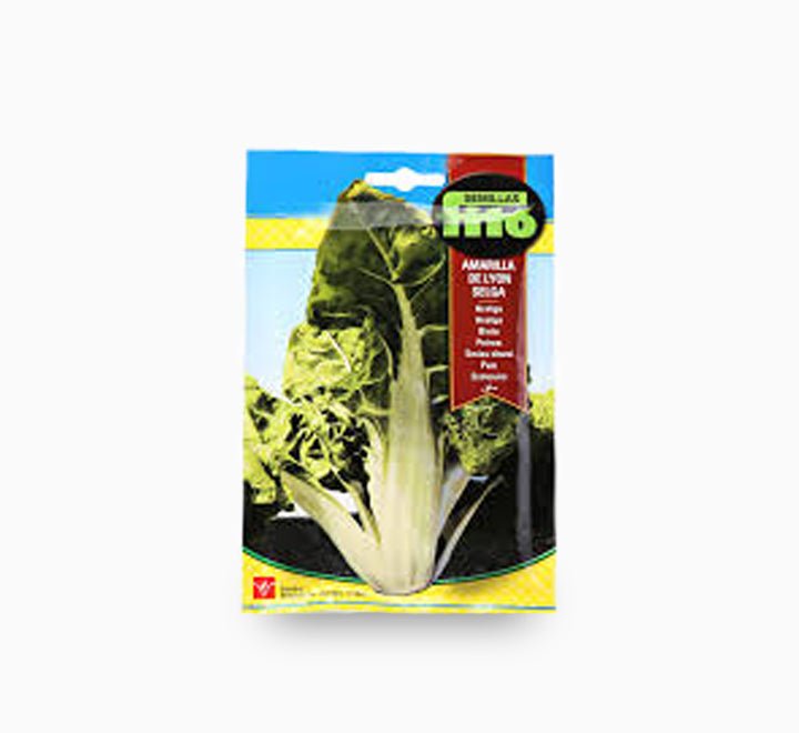 Yello Swiss - Chard fom Lyon - Greensouq - 