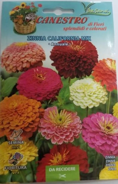 Zinnia California Seeds mix by CANESTRO - Greensouq -
