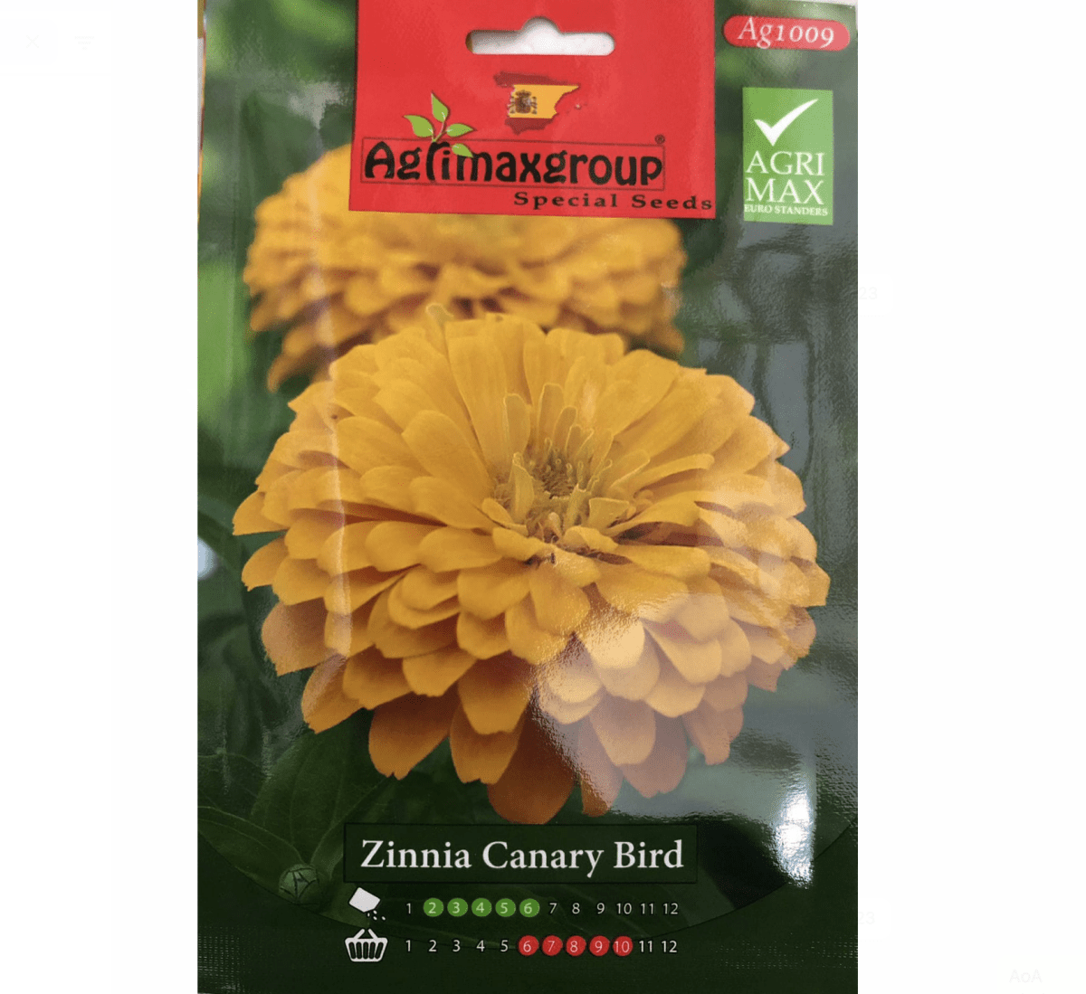 Canary Bird Seeds | Zinnia Canary Bird Flower Seeds by Agrimax Spain - Greensouq -