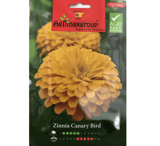 Canary Bird Seeds | Zinnia Canary Bird Flower Seeds by Agrimax Spain - Greensouq -