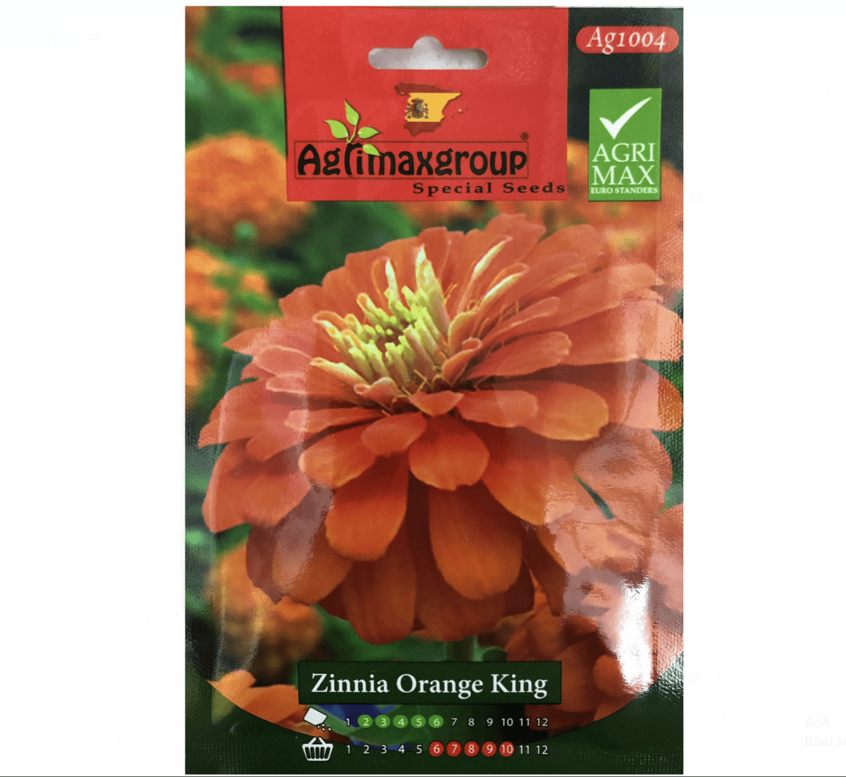Zinnia Orange King Flower Seeds by Agrimax Spain - Greensouq - 