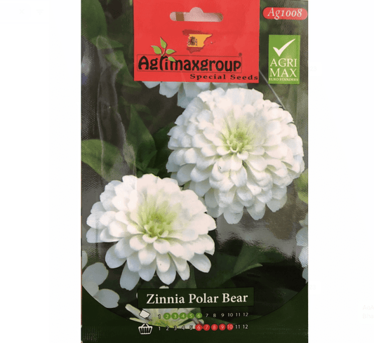 Zinnia Polar Bear Flower Seeds by Agrimax Spain - Greensouq - 